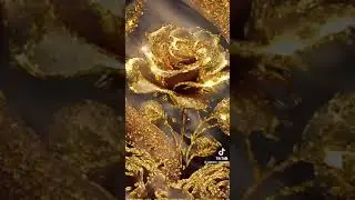 18 июля 2023 г.