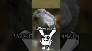 You Should Make An Animated Channel! -  