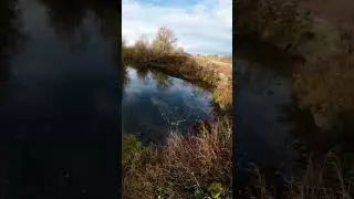 #shortvideo