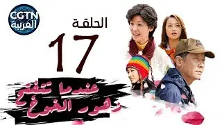 مسلسل عندما تتفتح زهور الخوخ | الحلقة السابعة عشرة