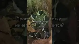 НИЧЕГО НЕ СЛУЧИТСЯ ЖЕ? | TikTok: aviaturg