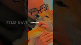#эдисон #марти #мартирос #эд #шортс #шортс #edit #edit #актив #memes #memes #шортс #edit