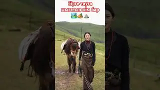 бірге тауға кеттік кім бар 🏕🏞⛰️ #horse #humor #funny