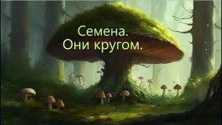 Что будет? Свершилось. Семена. Они кругом.
