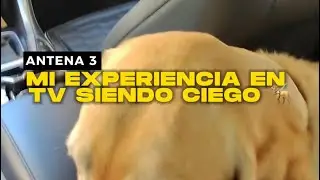 Después de que un taxista arranca cuando intento subir con mi perro guía la TV se hace eco