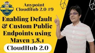 #09: Enabling Default & Custom Public Endpoints using Maven 3.8.1