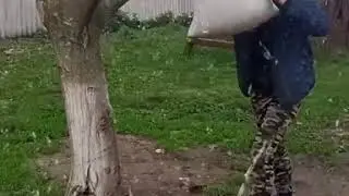 Бой с тенью(возвращения)
