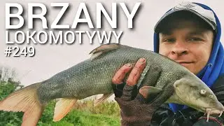 249 BRZANY LOKOMOTYWY! KRUSZYN ROZBIJA BANK 😀