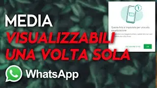WHATSAPP - Media visualizzabili solo una volta