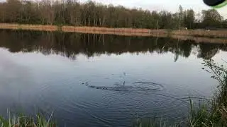 Вечер клюет слабо