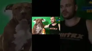 знай что ангелы не спят они смотрят на тебя