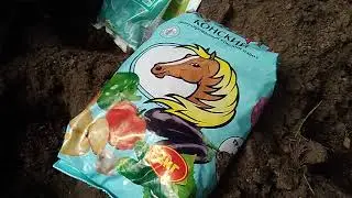 ЗАПРАВЛЯЮ ЛУНКИ ДЛЯ ТОМАТОВ ПРОВЕРЕННЫМ СПОСОБОМ !!!