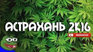 Отдых в Астрахани | Поле конопли | Часть 1