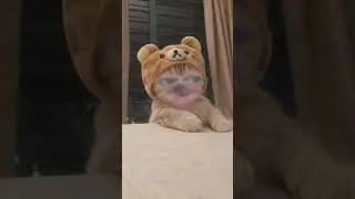 😂😂😂😂🤣