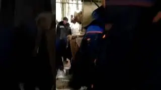 Устройство гранулятора и обслуживание