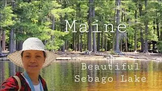 The Summer Beauty at Sebago Lake