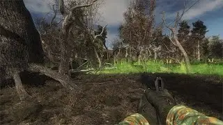 S.T.A.L.K.E.R Чистое Небо Last Fallout Overhaul #2