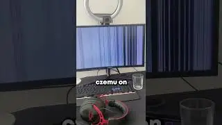 MONITOR SELF-DESTRUCTION