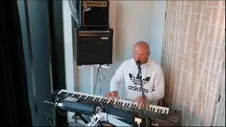 "Жёлтые тюльпаны" (Cover)