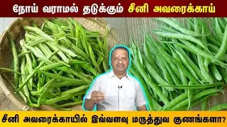 நோய் வராமல் தடுக்கும் சீனி அவரைக்காய் | சீனி அவரைக்காய் சாப்பிடுவதால் கிடைக்கும் நன்மைகள்