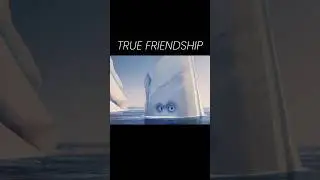 True Friendship Between Little Iceberg and Whale #shortfeed #lovefriendship