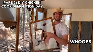 Gross Chicken Coop Demolition | Ripping down the wall!