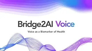 Voice 2AI Symposium: Exploring Voice as a Health Biomarker with Top Experts and Stakeholders