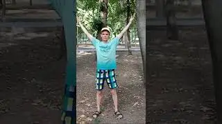 Как выполнять практику Дерево