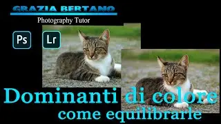 Correggere le dominanti di colore in Photoshop