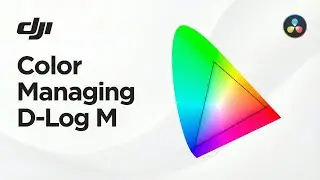 FIXED: The Correct DJI D-Log M Workflow in DaVinci Resolve