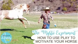 How to Use Play to Motivate Your Horse