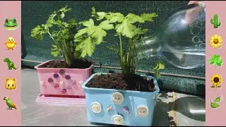 We made pots from old cheese molds⎪FUN activity at home with your kids 3☘️