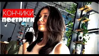 Стрижка на длинные волосы 2024 (Кончики постриги мне)