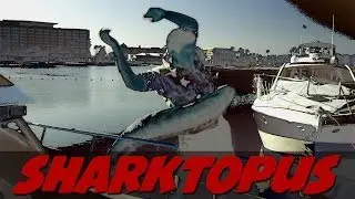 SHARKTOPUS- Shark Rave