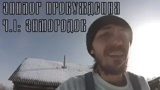 VLOG: ЭПИЛОГ ПРОБУЖДЕНИЯ Ч.1: ЗИМОРОДОК / МАЛЫШОВ ДМИТРИЙ