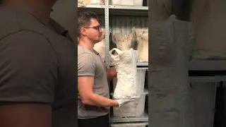 Корсет, которому больше 200 лет!