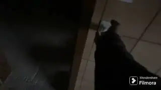 Вопрос решалам