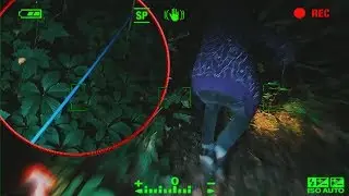 КТО-ТО ПЫТАЛСЯ УБРАТЬ НАС ИЗ ЛУКА НА ЗАБРОШКЕ