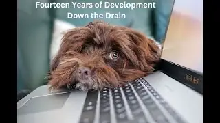 Fourteen Years of Development Down the Drain
