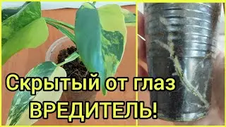 СКРЫТЫЕ🧐 