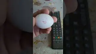 а вы знали где делают яйца ?