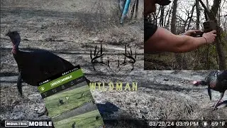 The Best Way to Find Turkeys: Tips for Placing Trail Cameras During Turkey Season