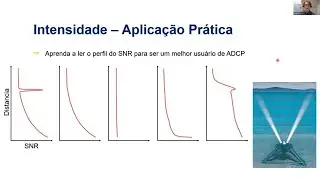 Como analisar dados de ondas e correntes marinhas coletados por um ADCP?
