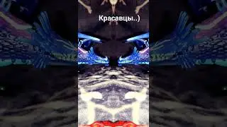 красавцы 