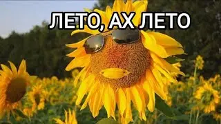О нас - девочках с юмором 🧚