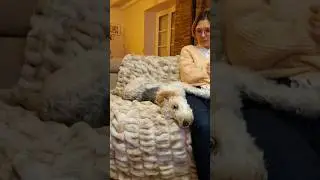 Je regarde la télé. Pas simple avec Ondine.