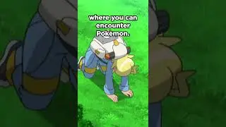 When Every Poke Ball Is A Master Ball #pokemon