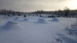 Чистка снега на пасеке, контроль зимовки.