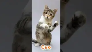 Сью