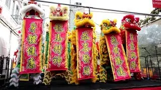 cny 2018 :: group lion routine community fair